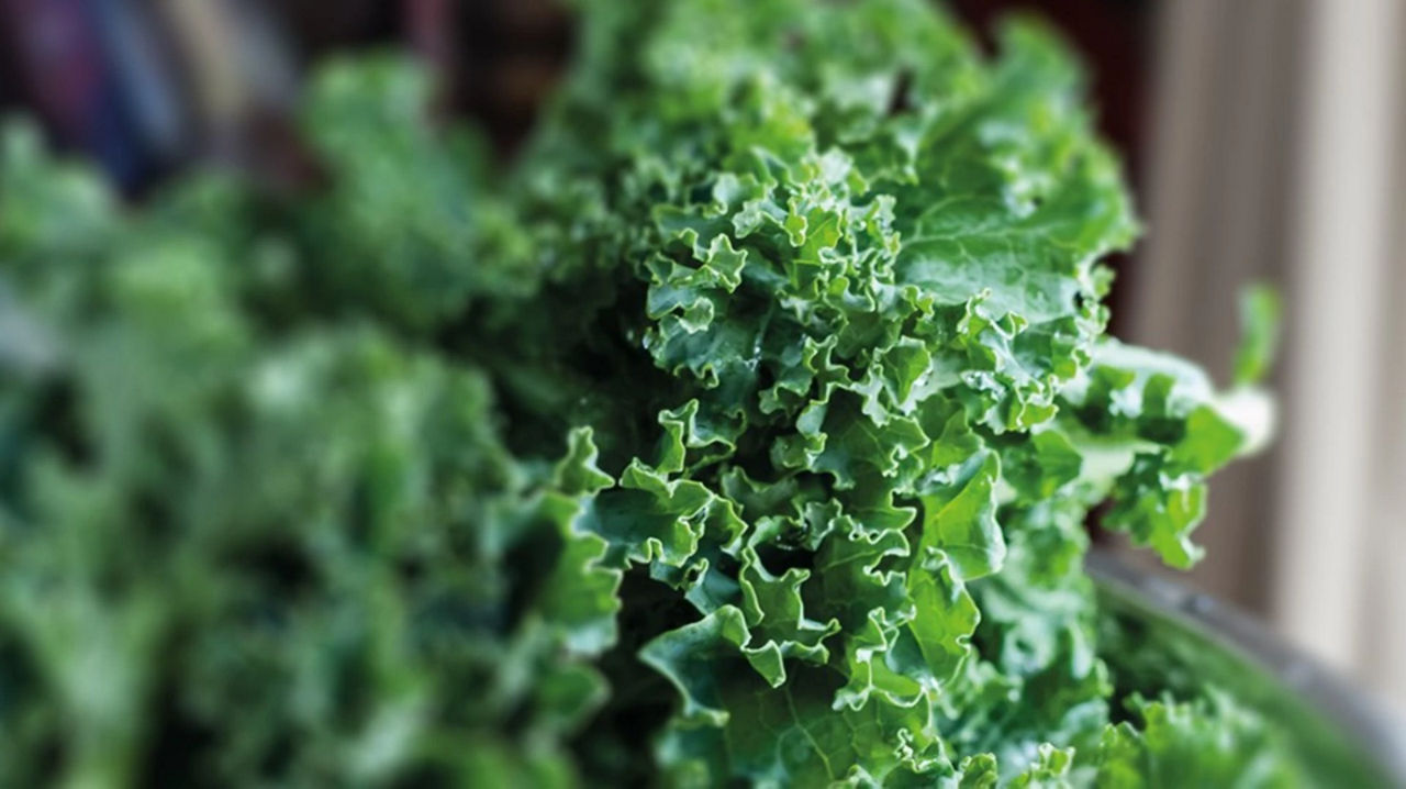 Kale for pregnancy