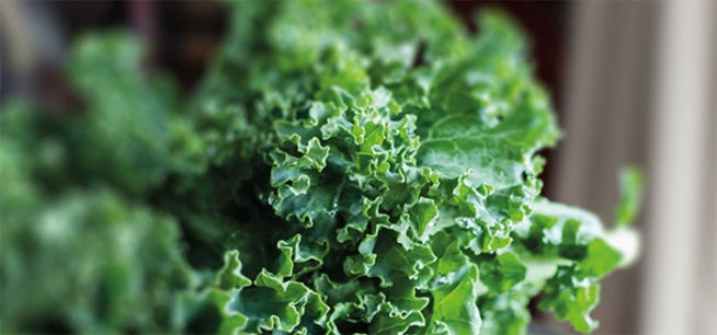 Kale for pregnancy