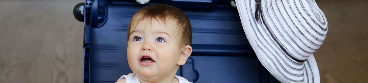 Oysters In Pregnancy