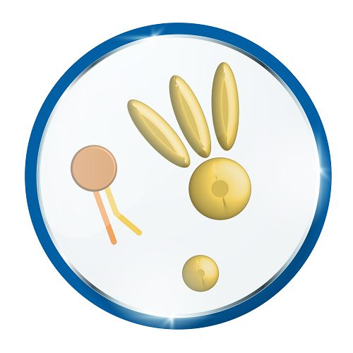 Lipids