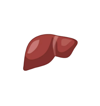 1-3 red meat