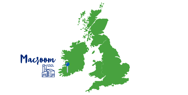 Macroom Infographic