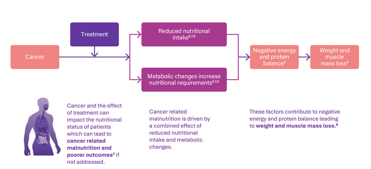 Cancer treatment and nutritional impact diagram