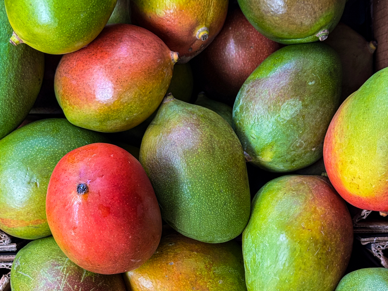 Stock photo showing close-up, elevated view of cardboard boxes of green and red mangoes displayed in the green grocer's section at a supermarket, showcasing the richness of tropical fruit. These sweet and juicy mangoes are perfect for snacking, smoothies, or adding to fruit salads and desserts. Five a day healthy eating concept.
