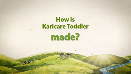 How is Karicare toddler made