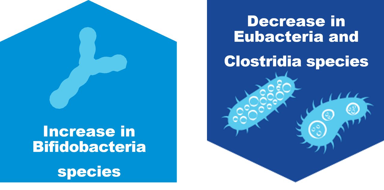 MICORBIOTA-COMPOSITION.PNG