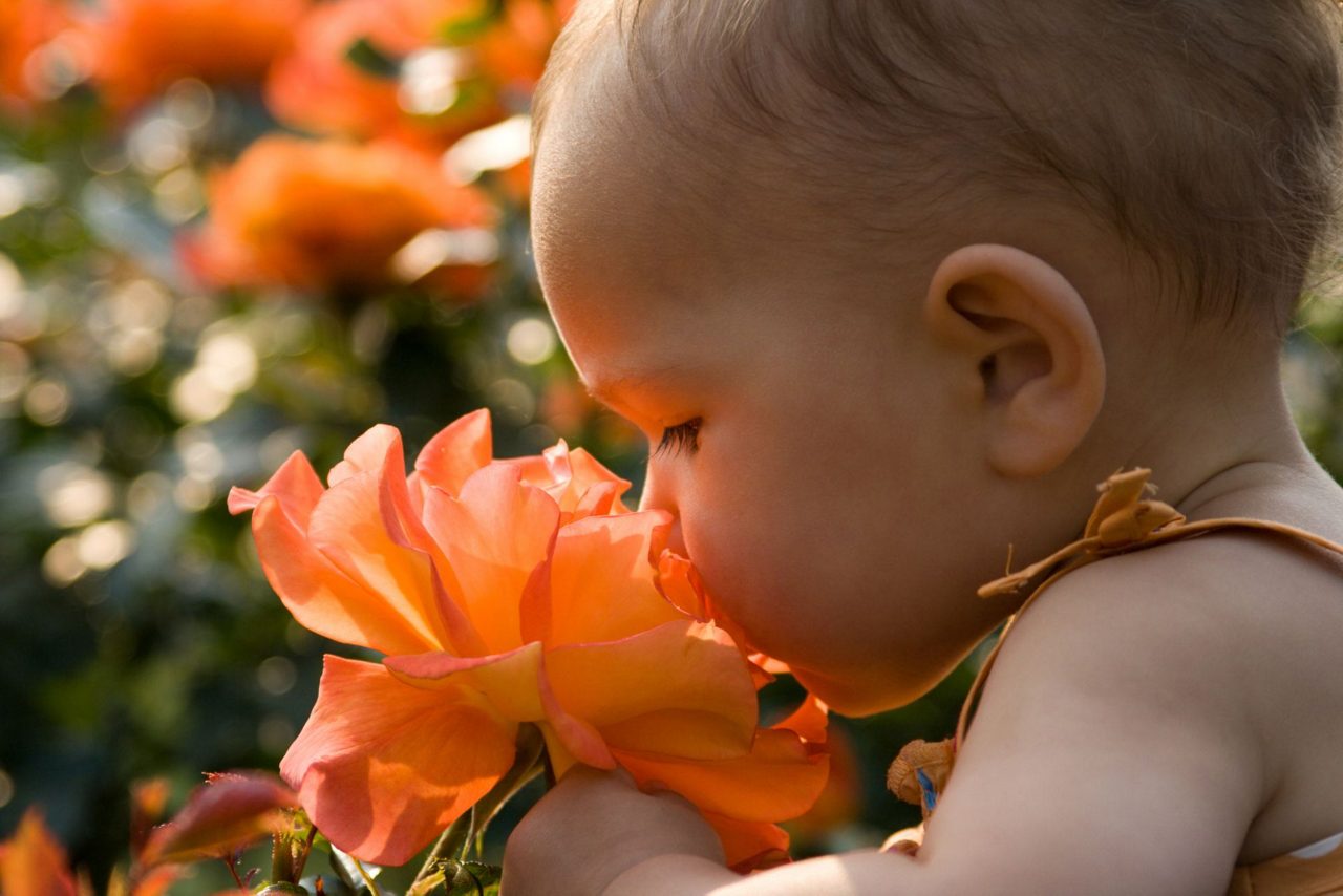 Baby riecht an Blume