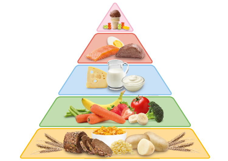 Lebensmittel Pyramide