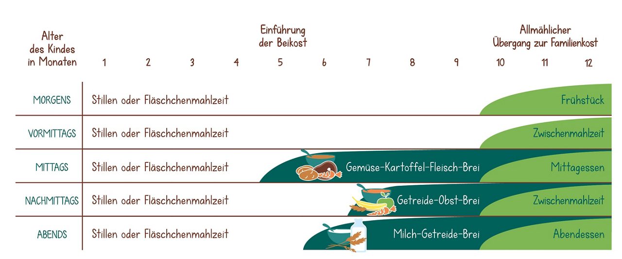 Humana 2  Der erste Brei - die Beikost