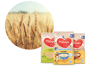 Milupa Breie vor einem Getreidefeld