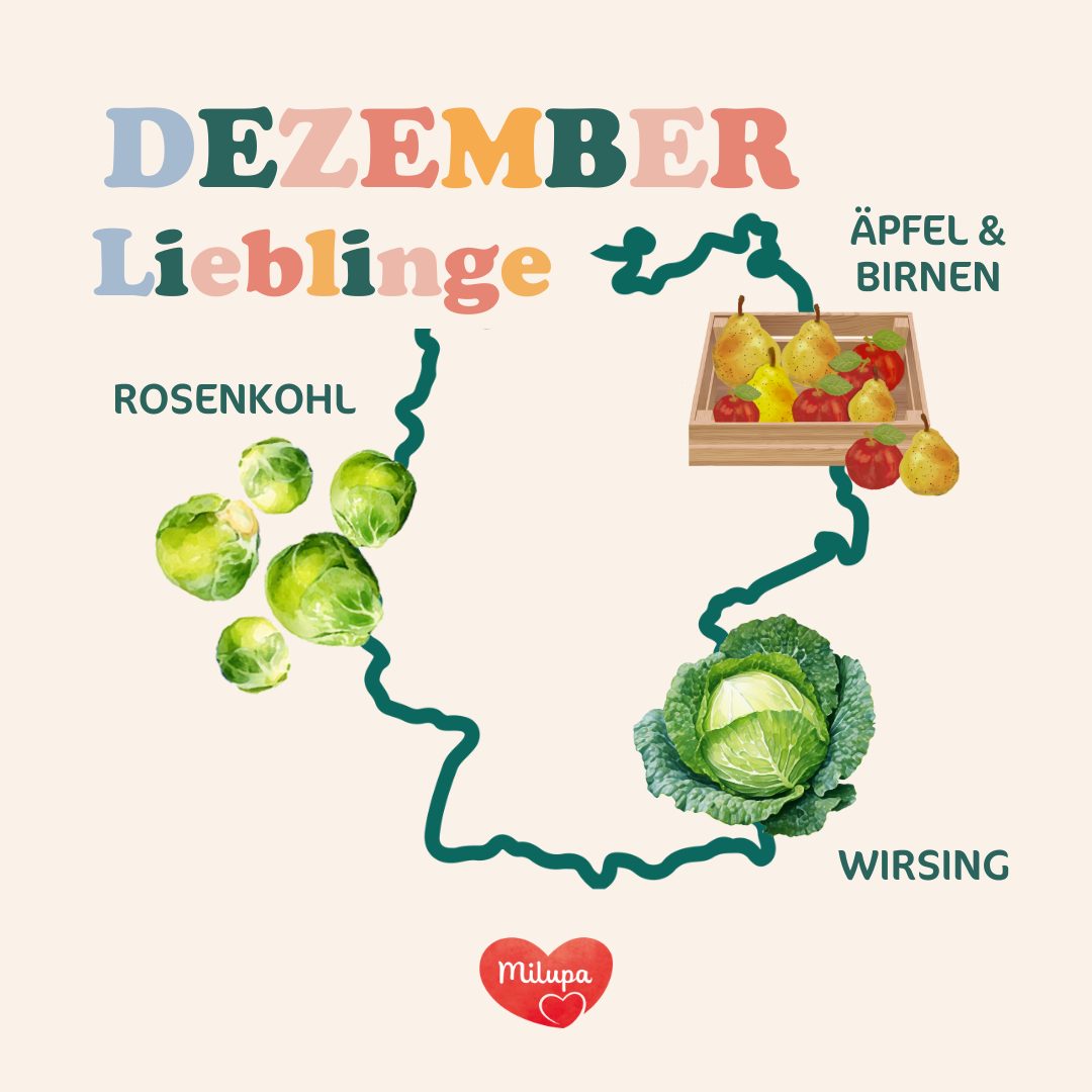 Dezember Lieblinge