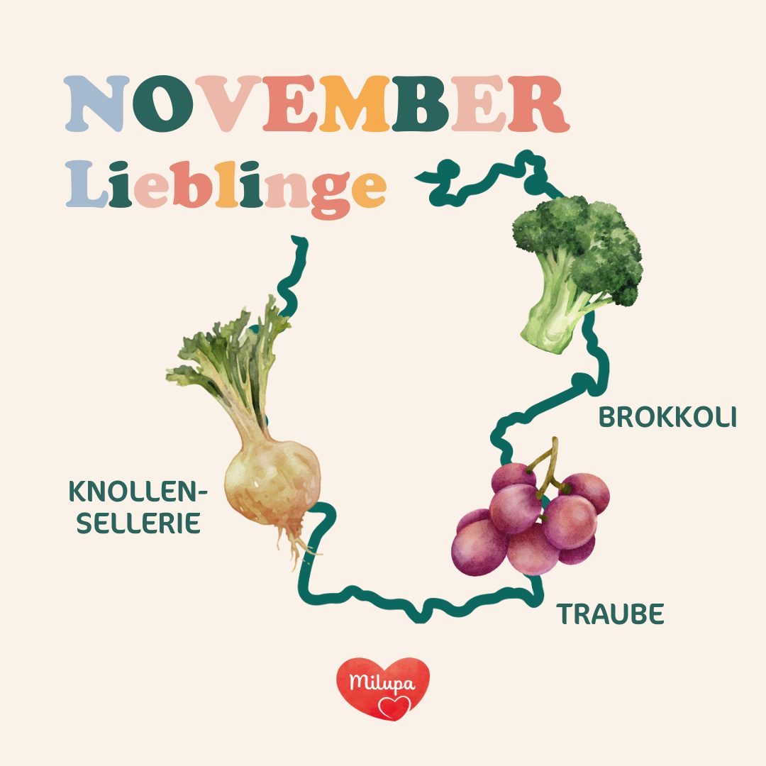 November Lieblinge