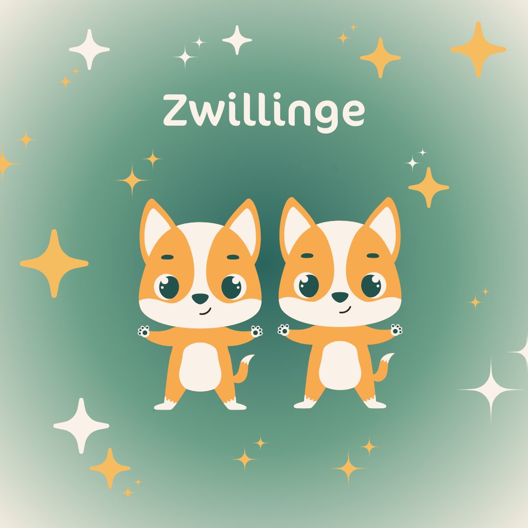 Sternzeichen Zwillinge