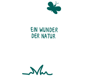 Illustration ein Wunder der Natur