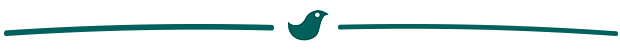 Trenner Vogel ohne Flügel