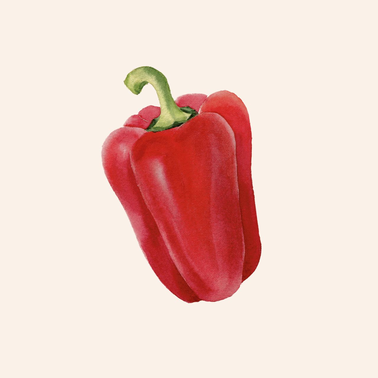 Paprika