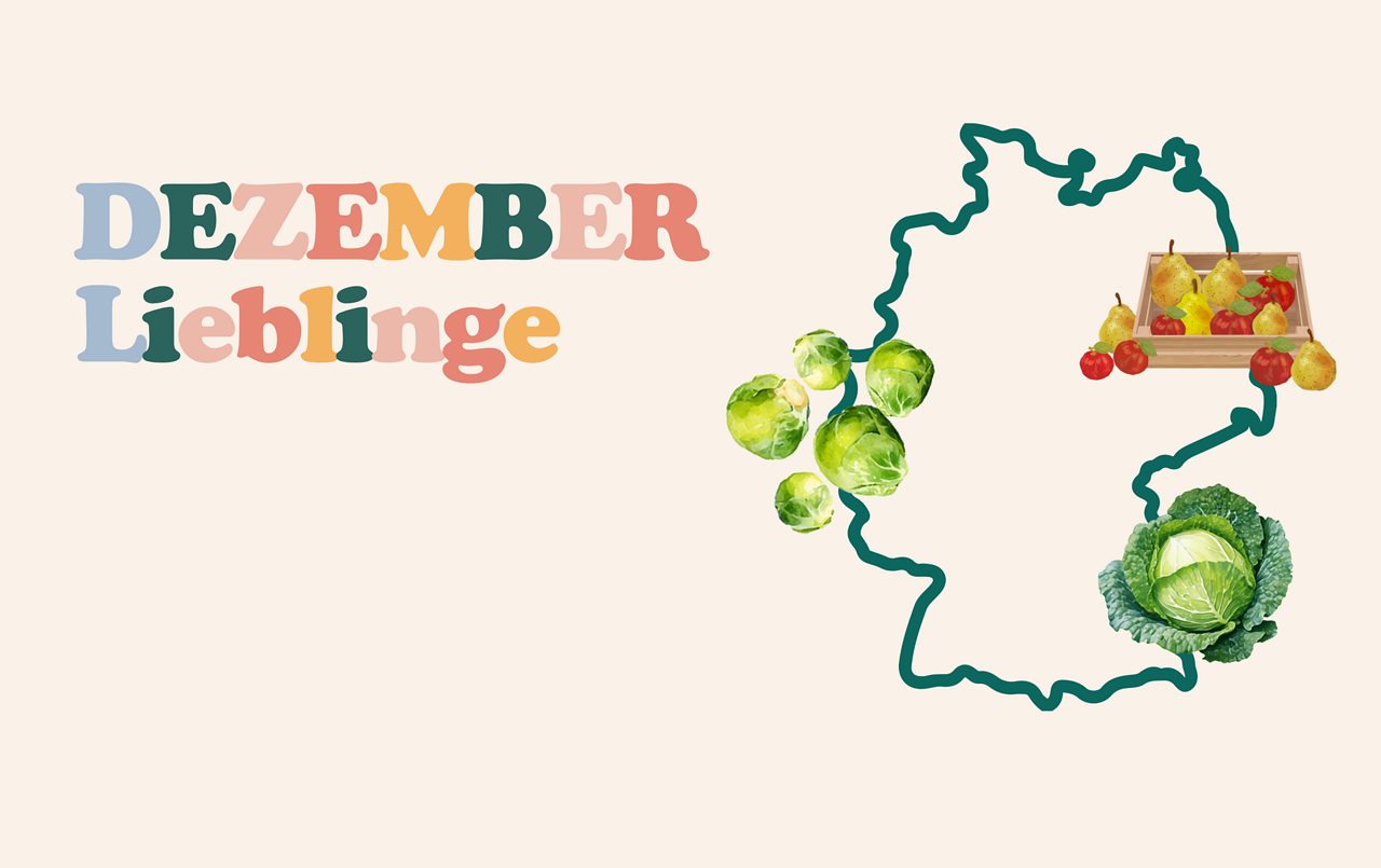 Dezember Lieblinge