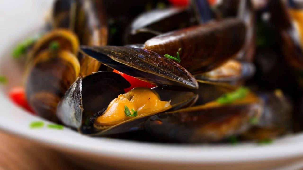 Mussels during pregnancy