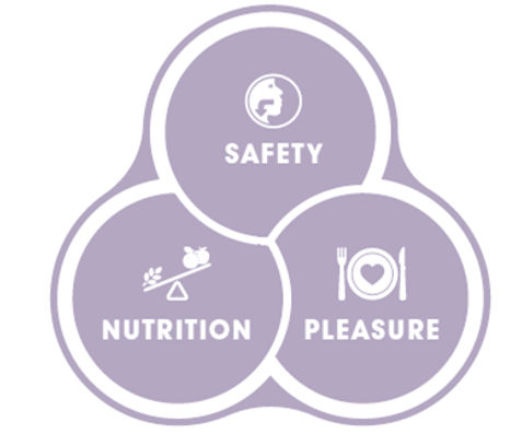 Nutilis safety, nutrition, pleasure icon