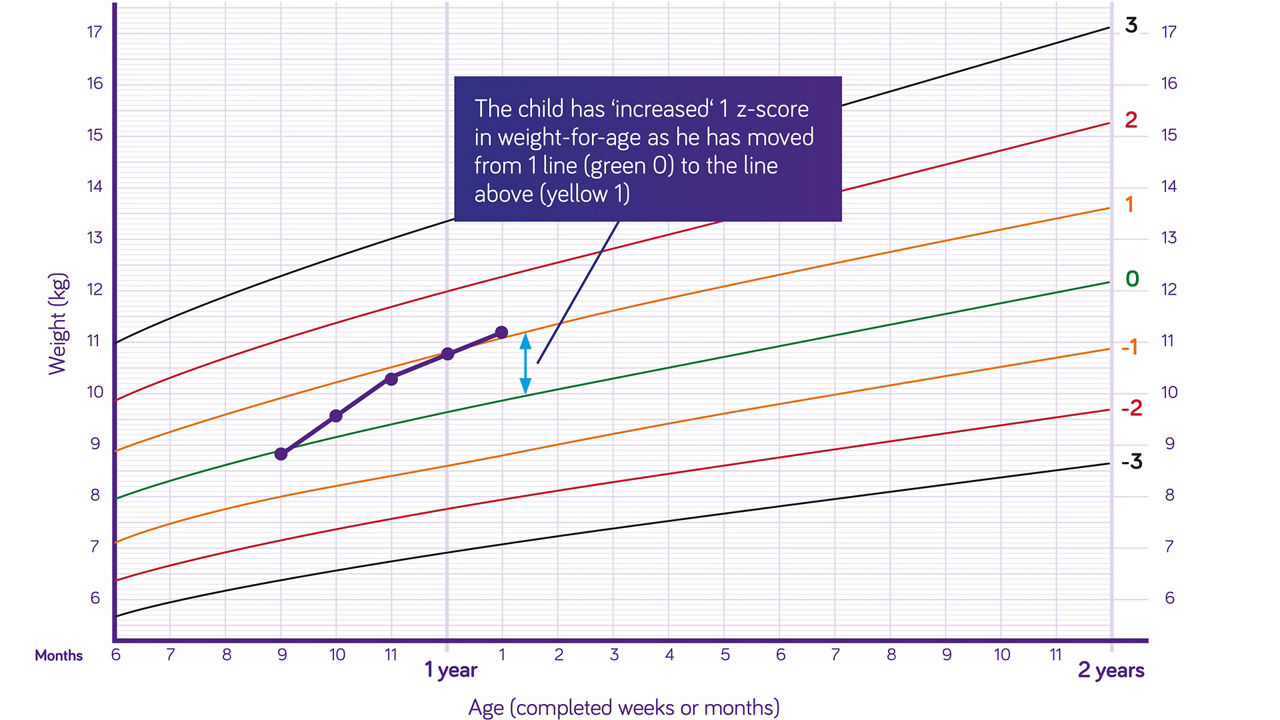 nutricia-pediatric-drm-growth-graph-weight-for-age-boys-six-months-to-two-years.jpg