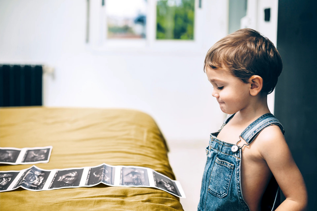 boy looking at pictures