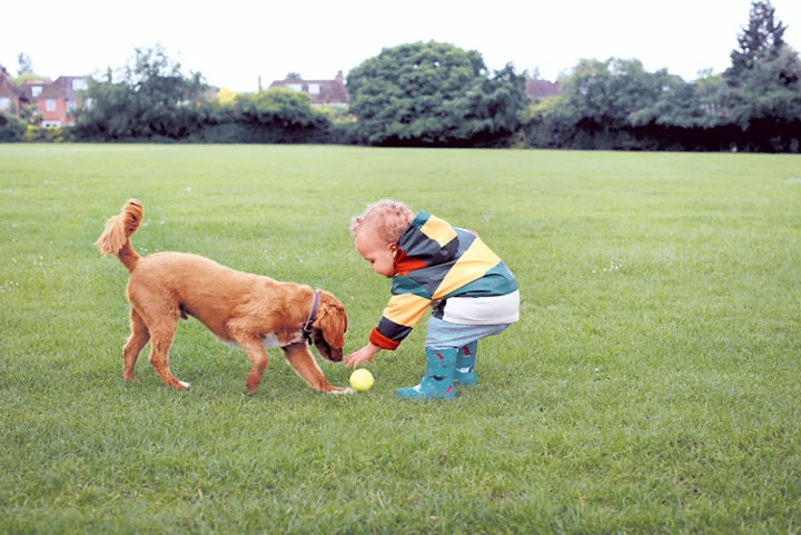 Toddler and dog