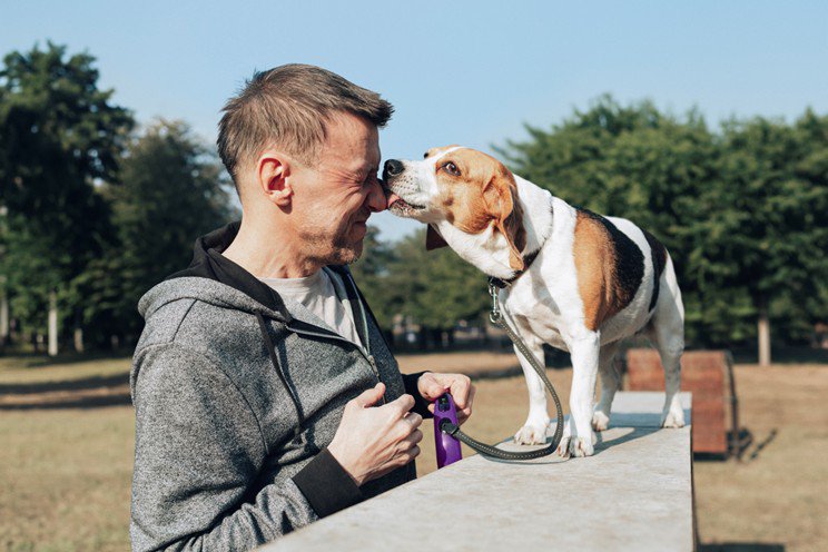 man walking dog 