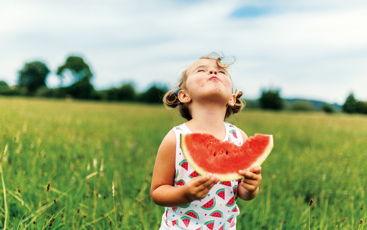 Little girl eating watermelon on a meadow