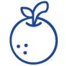 Orange icon