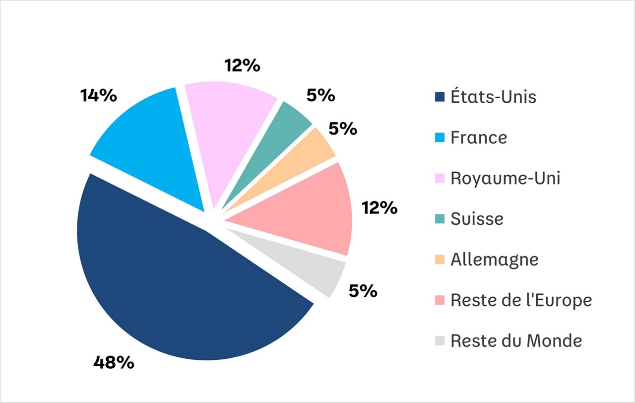 Graphique représentant la répartition par pays en 2024.