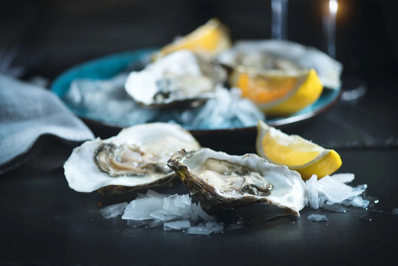 Oysters in pregnancy