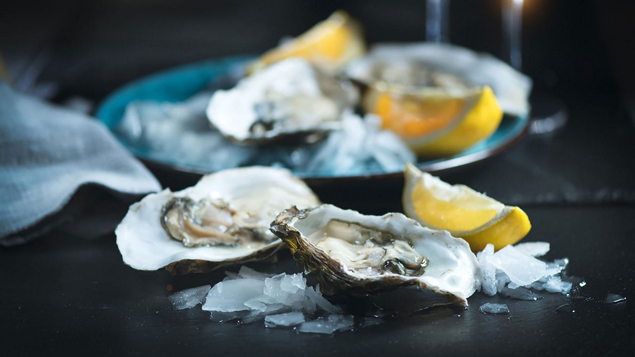 Oysters In Pregnancy