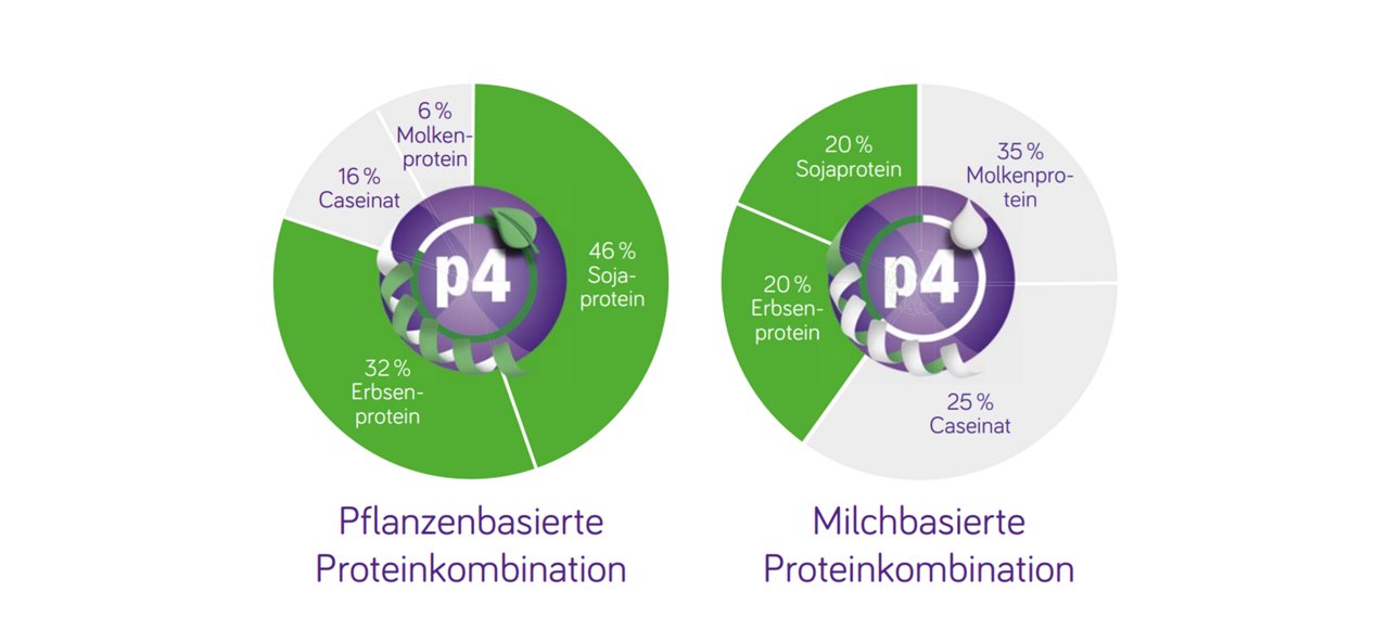 Unterschiedliche-Proteinquellen.jpg