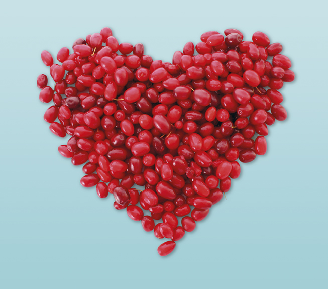 cranberries in heart shape over white background; Shutterstock ID 57825025