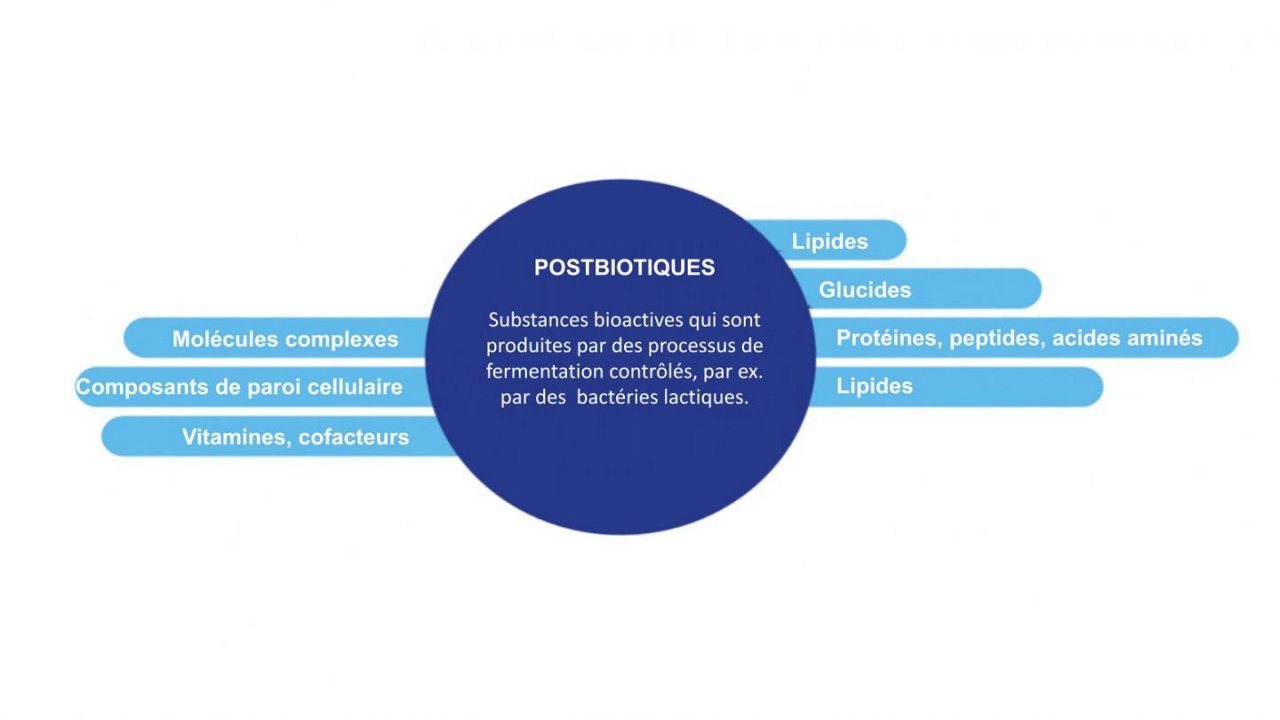 Kreisdiagramm zu Postbiotika mit französischen Begriffen wie Lipide, Glucides, Protéines und komplexen Molekülen.