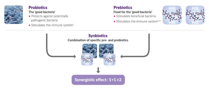Prebiotics, probiotics, sybiotics graph