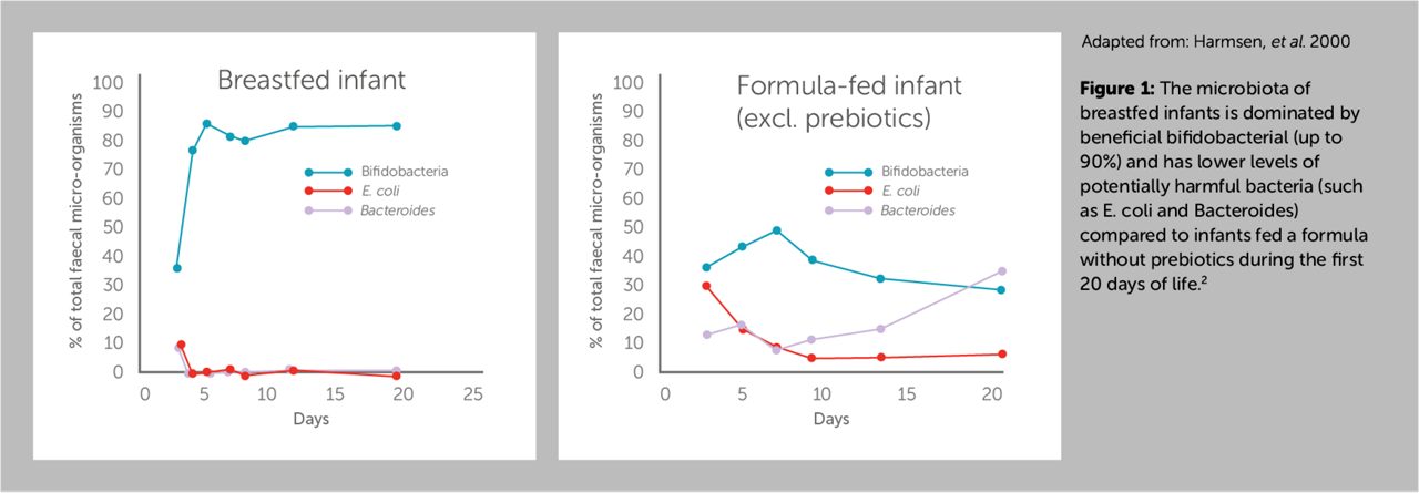 preterm-probiotics-evidence-7