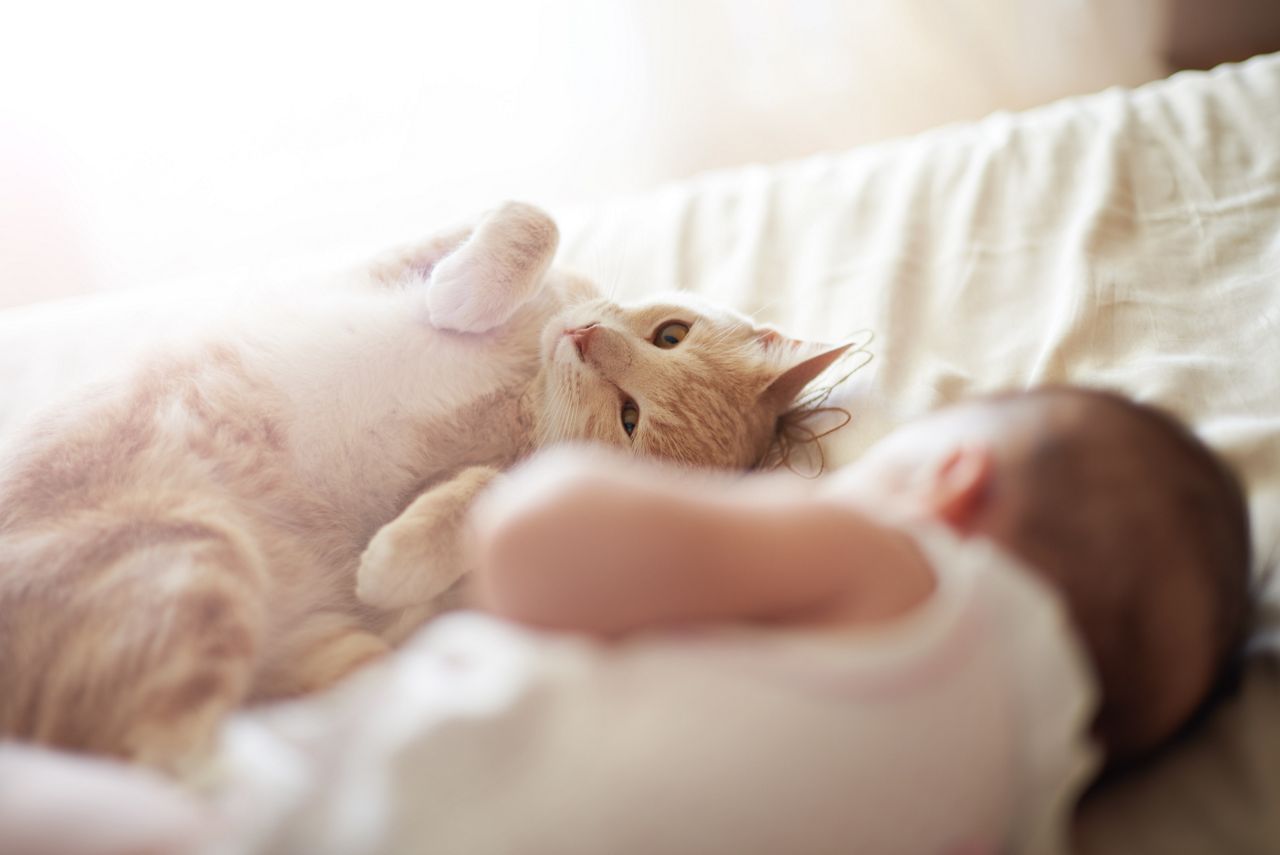 Shot of an adorable baby girl sleeping peacefully next to a cat on a bed at home