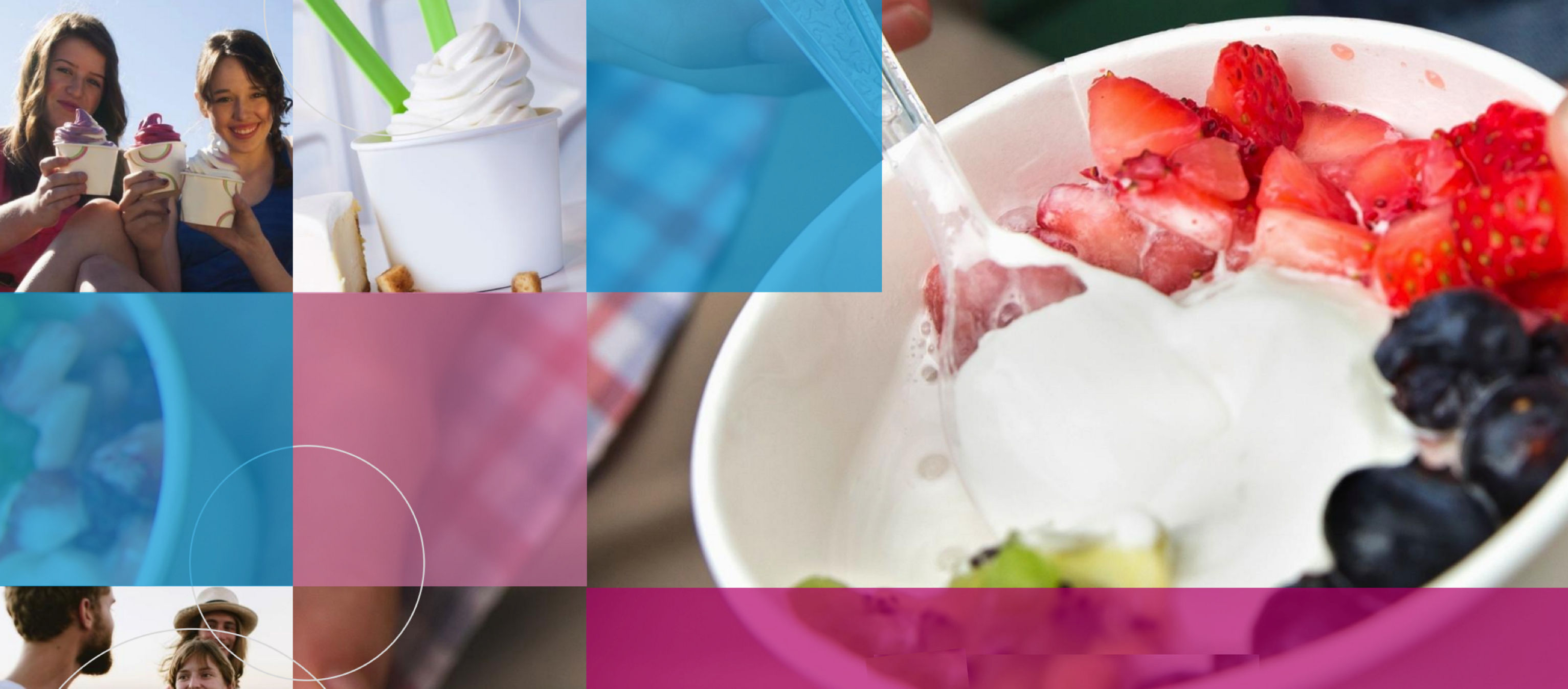 Non-Fat Vanilla Frozen Yogurt and Soft Serve Ice Cream Mix