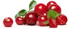 Cranberry und Johannisbeere