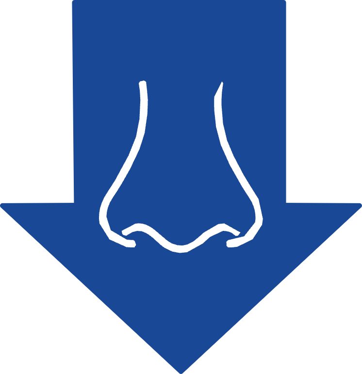 Rhinitis icon