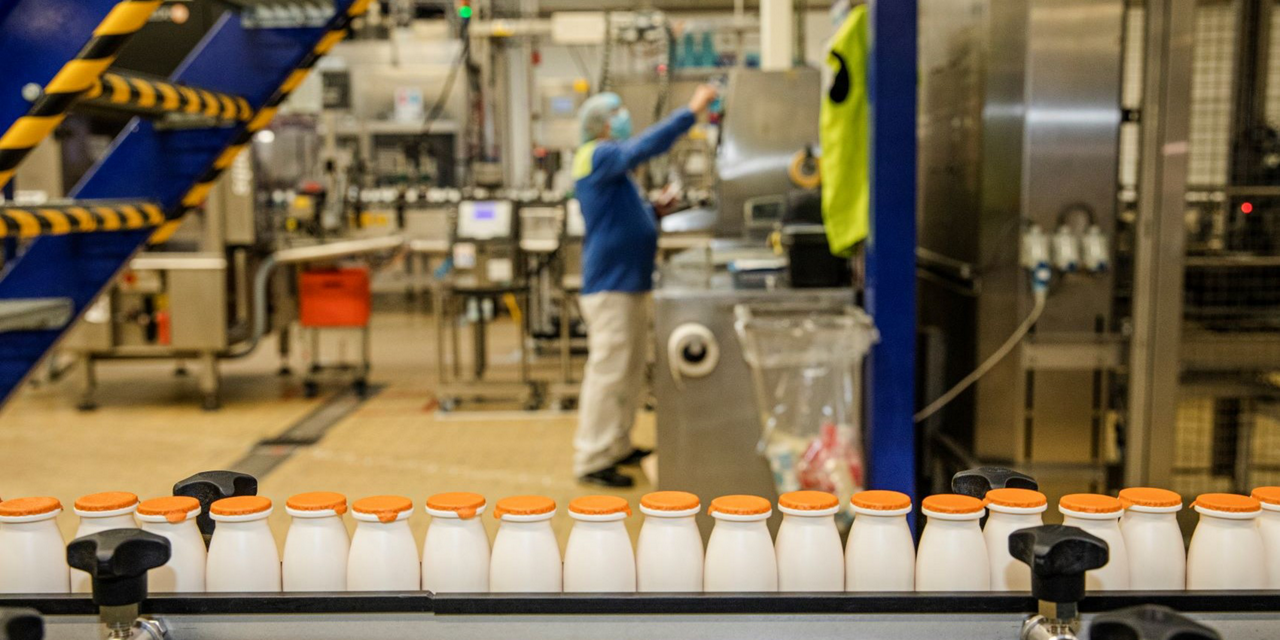 Rotselaar factory worker and actimel line