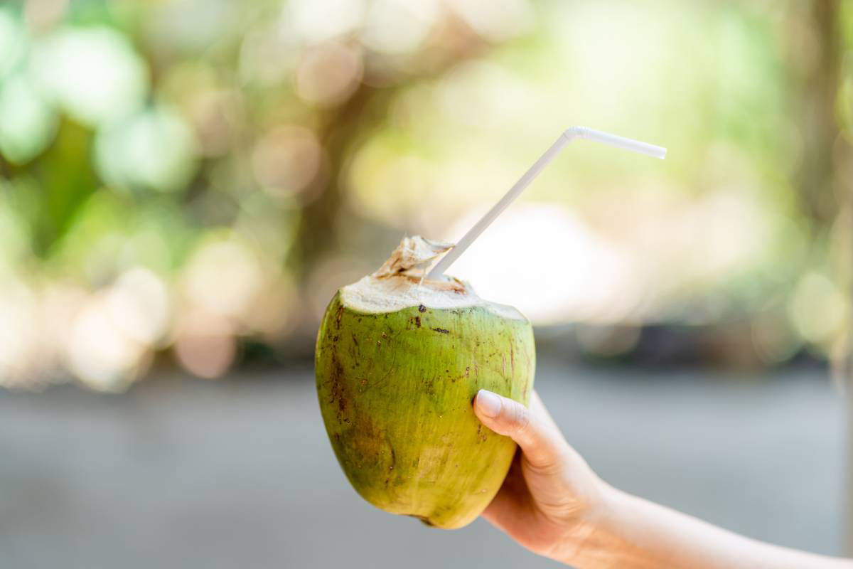 Mẹ sau sinh mổ nên uống nước dừa tươi, ở nhiệt độ thường là tốt nhất.