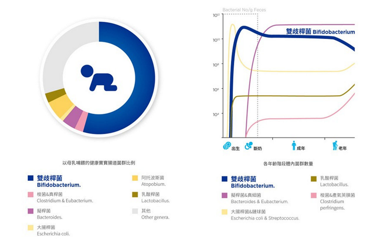 3個月寶寶發展概況