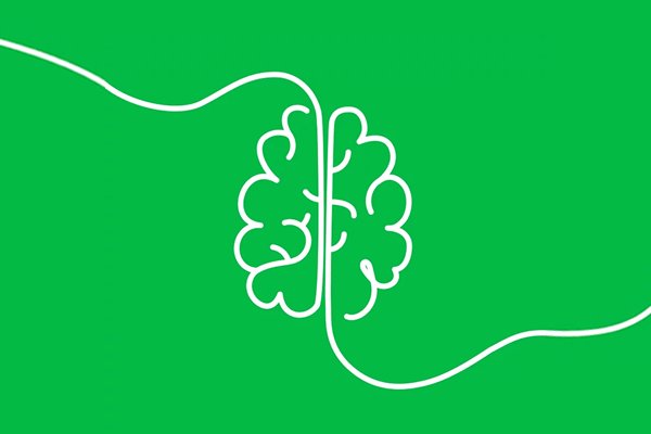 Mit dem minimalistischen Gehirn