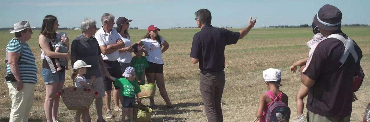 Oysters In Pregnancy