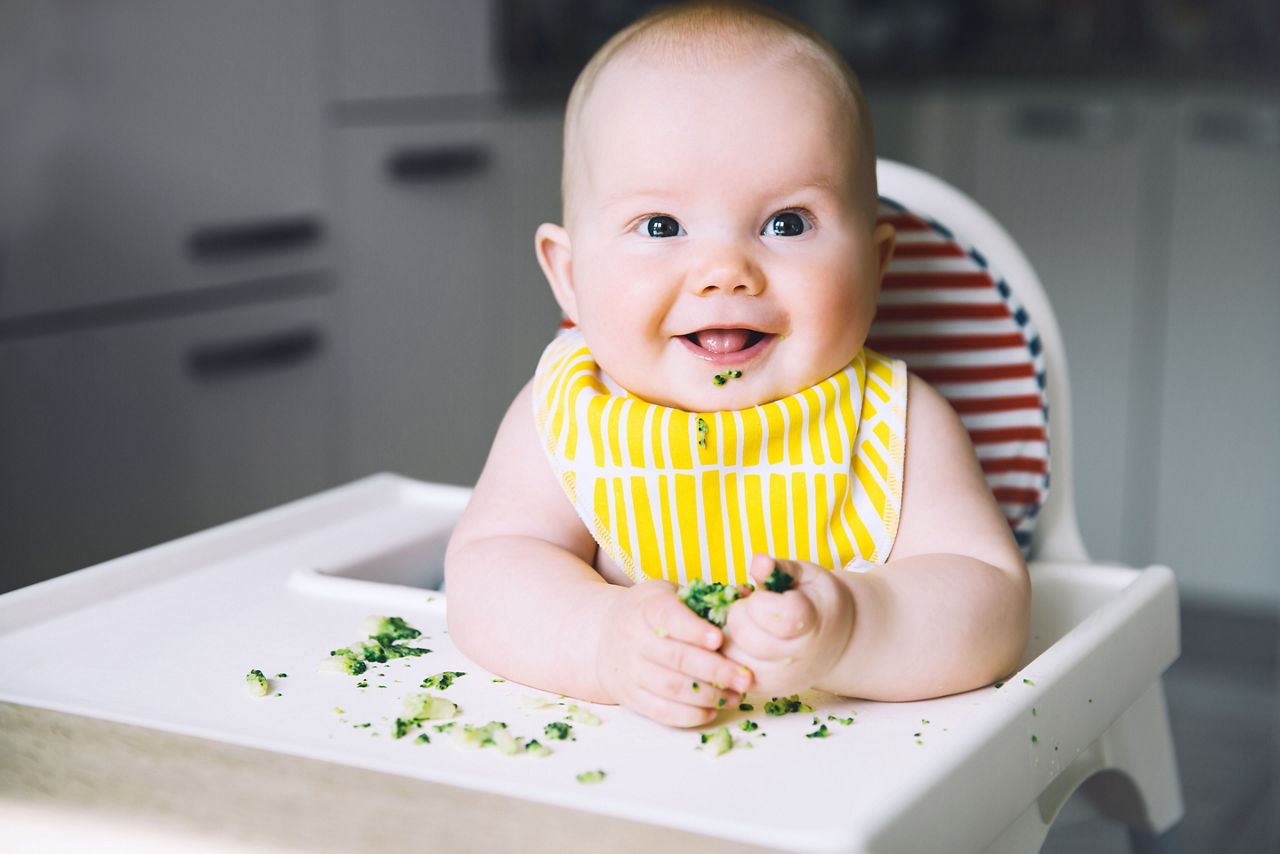 Baby's first solid food. Messy smiling baby eats and tastes with fingers vegetables broccoli in high chair. Healthy child nutrition. Mother gives to try foods to feed little child 7 months old; Shutterstock ID 1070217863; purchase_order: DNC Thumbnails; job: Webinars 2 (50/188); client: ; other: 