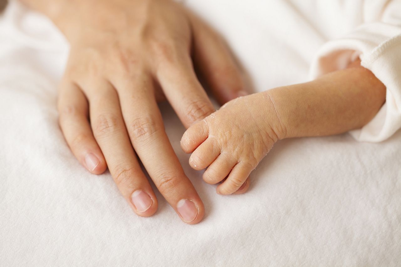 Baby hands and the hands of his mother.; Shutterstock ID 135703328; purchase_order: DNC Thumbnails; job: Publications; client: ; other: Replace Fishwife