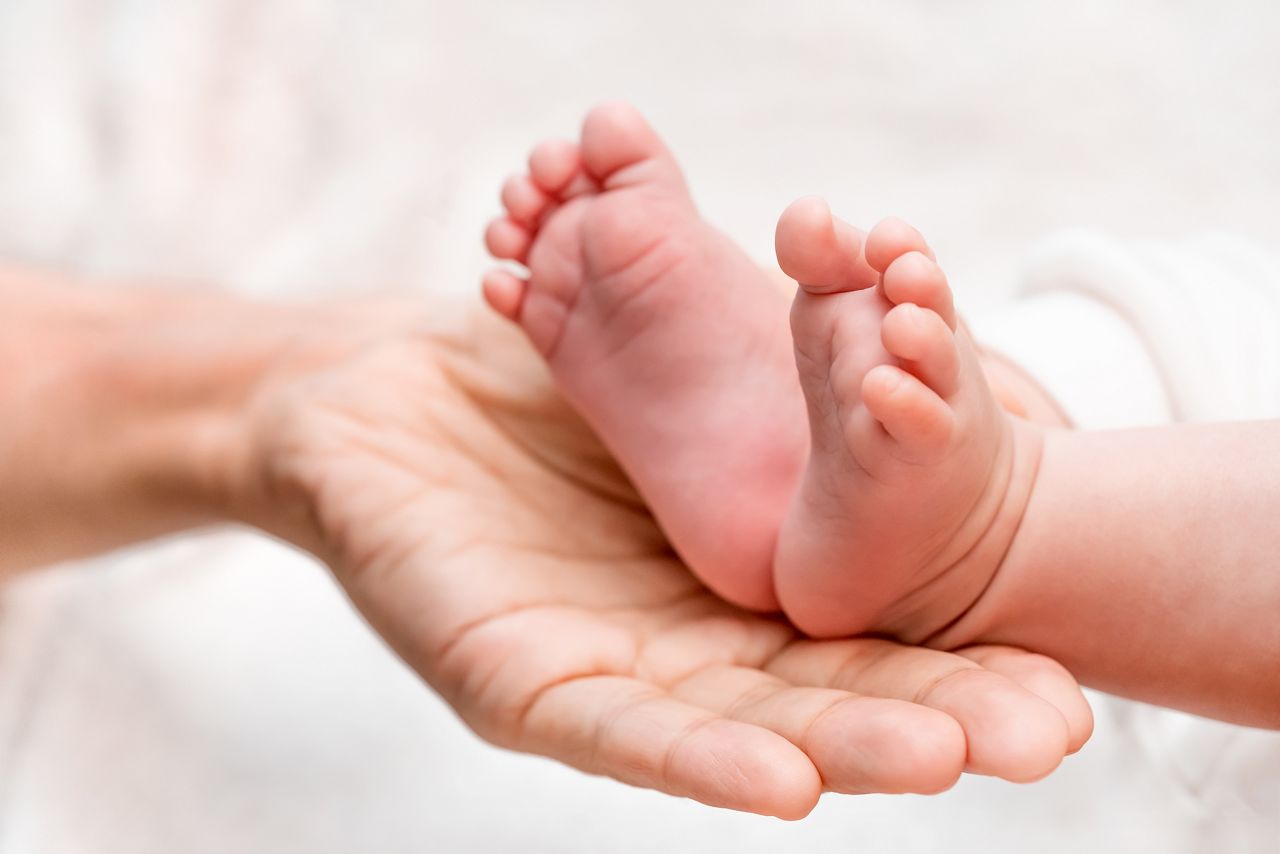 Baby feet in parent hands. Maternity, Happy Family concept.; Shutterstock ID 1891334089; purchase_order: DNC Thumbnails; job: Webinars 2 (50/188); client: ; other: 