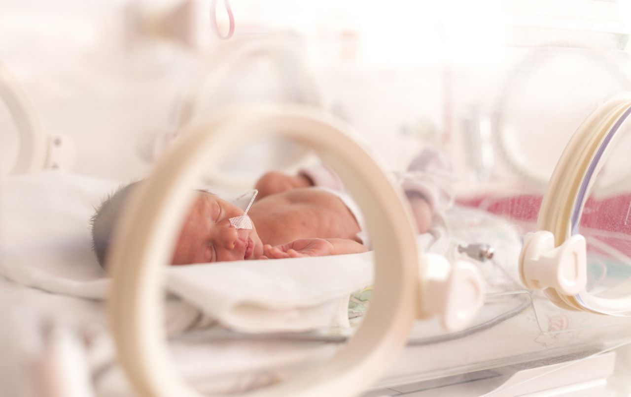 Premature newborn  baby girl in the hospital incubator after c-section in 33 week; Shutterstock ID 394780183; purchase_order: DNC Thumbnails; job: Publications; client: ; other: Replace Fishwife
